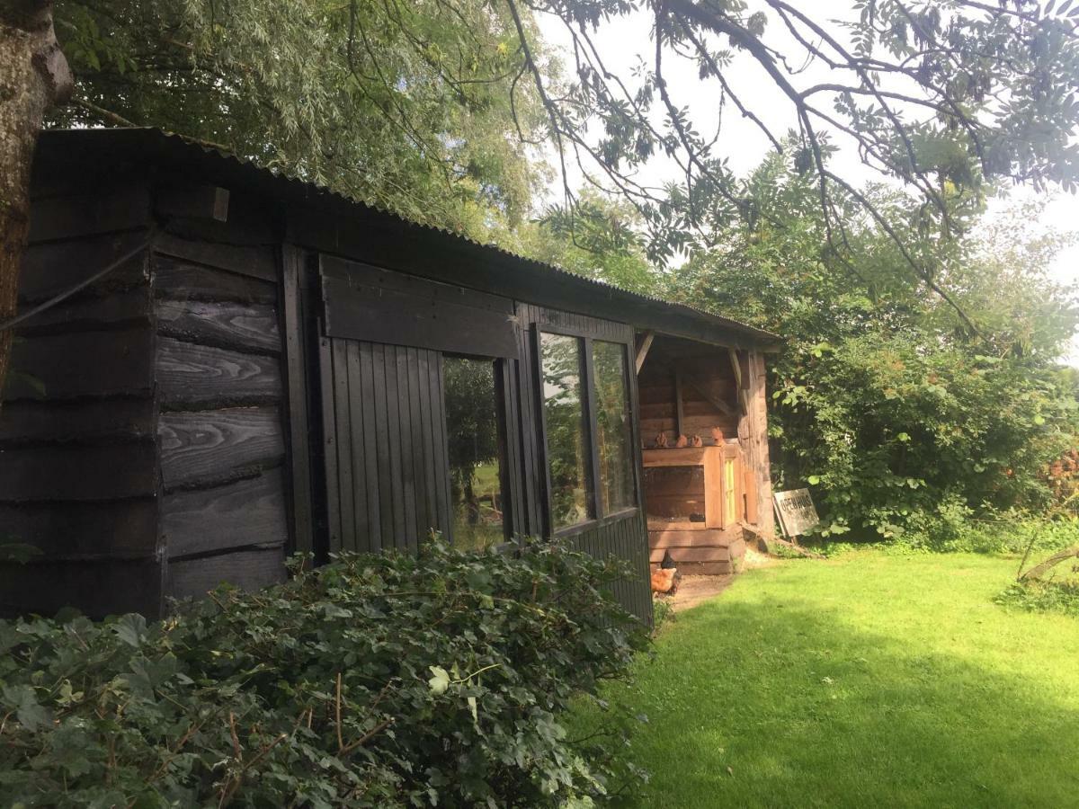 Gasthaus Boerderij Met Atelier Dalfsen Exterior foto